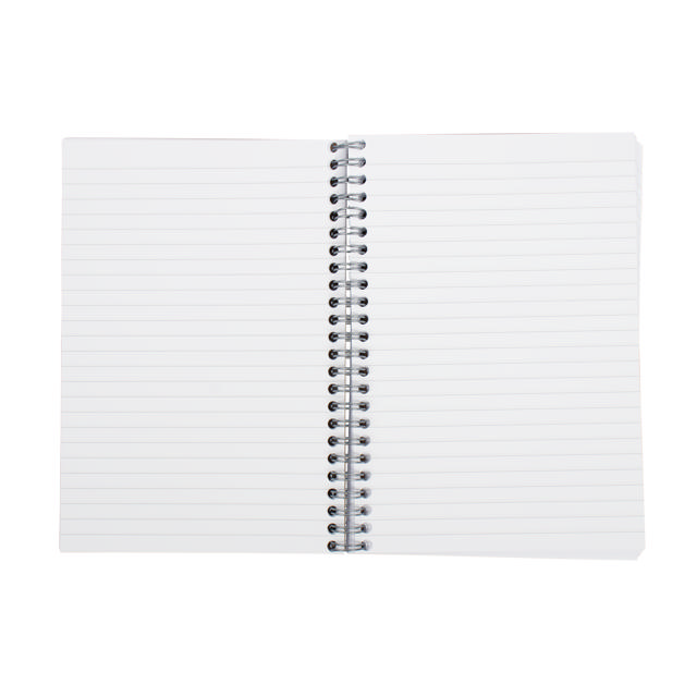 Kraft Line Notizbuch, Spiralbuch, DIN A5, FSC®