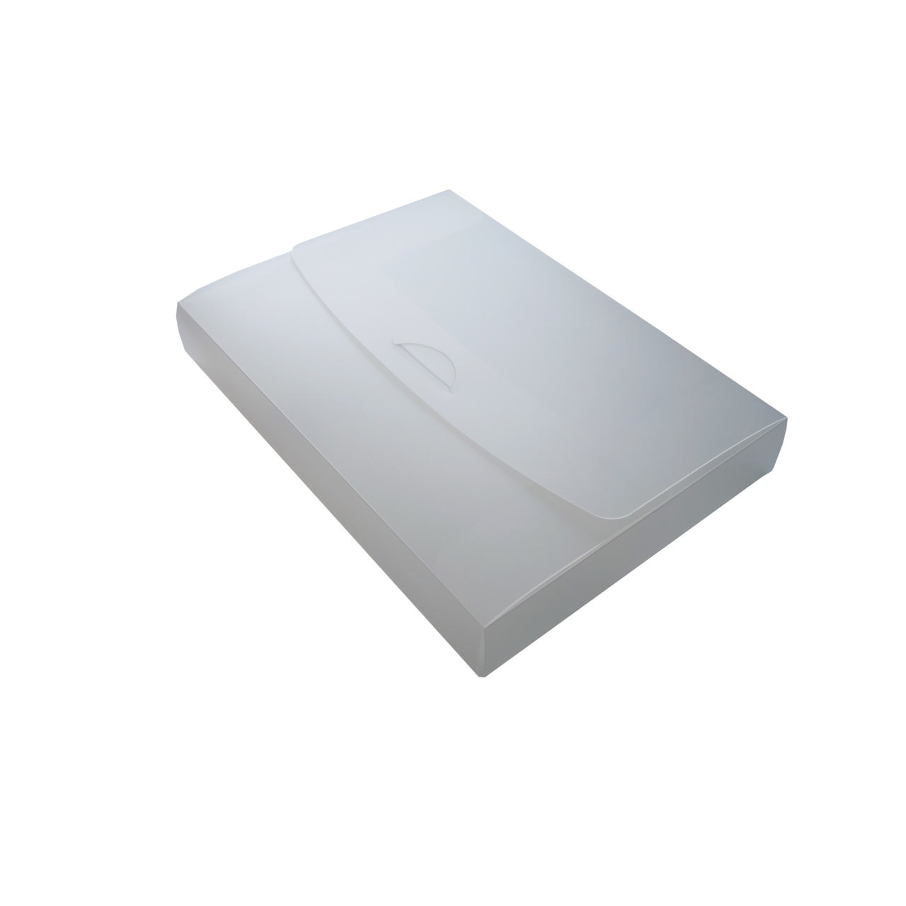 Sammelbox mit Verschluß, DIN A4, 45 mm Rückenbreite