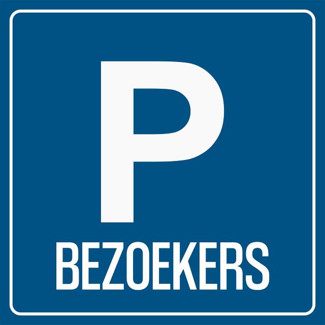 Piktogramm-Zeichen Besucherparkplatz, 100 x 100 mm